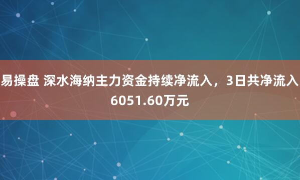 易操盘 深水海纳主力资金持续净流入，3日共净流入6051.60万元