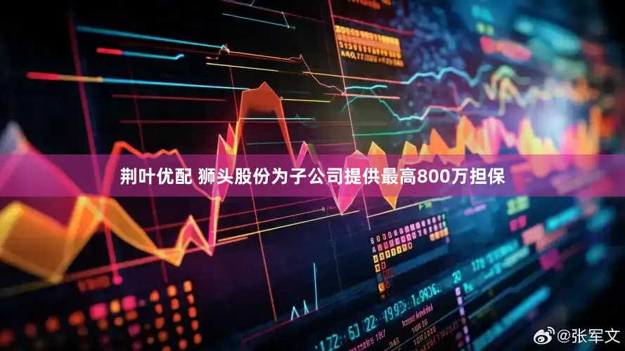 荆叶优配 狮头股份为子公司提供最高800万担保