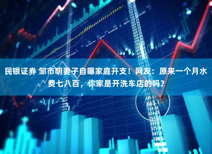 民银证券 邹市明妻子自曝家庭开支！网友：原来一个月水费七八百，你家是开洗车店的吗？