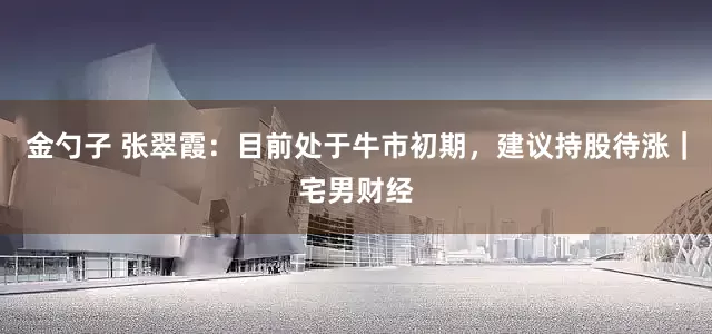 金勺子 张翠霞：目前处于牛市初期，建议持股待涨｜宅男财经